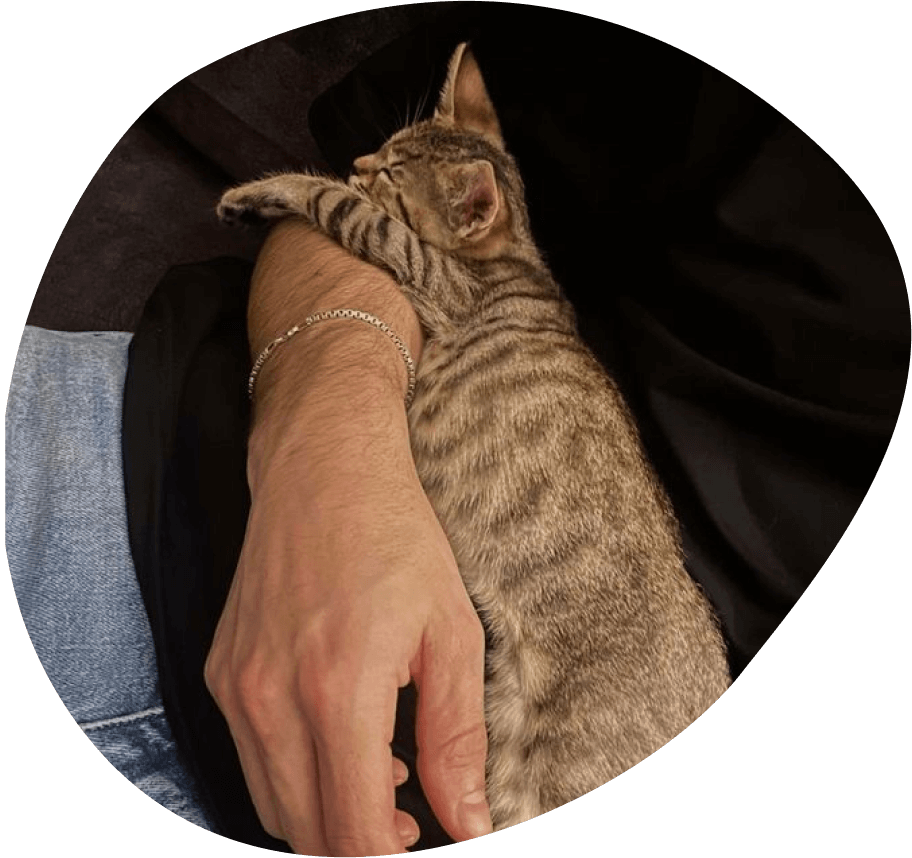 Image de chat de Garde La Truffe, Pet sitter à Valence