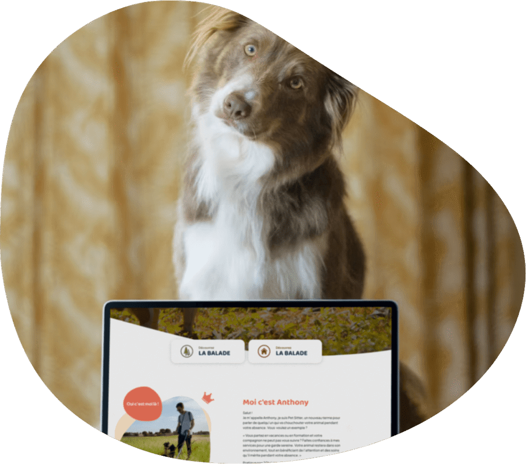 Image de chien pour contact de Garde La Truffe, Pet sitter à Valence